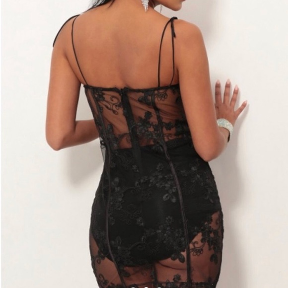 Lucy in the Sky | Lace Mesh Dress - Picture 2 of 3